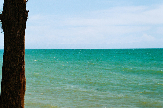 Nix & Noa : Inspired in Zanzibar.