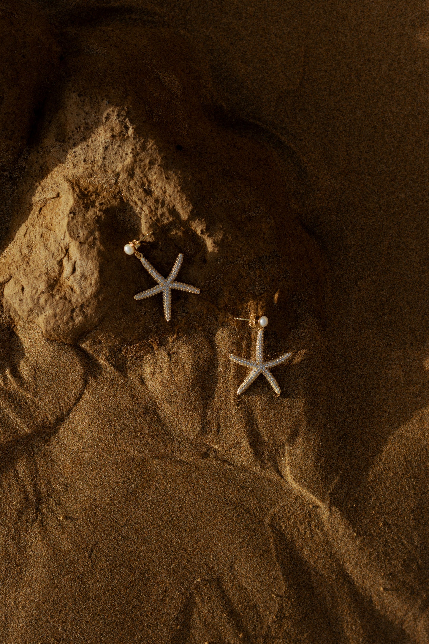 Starfish Earrings